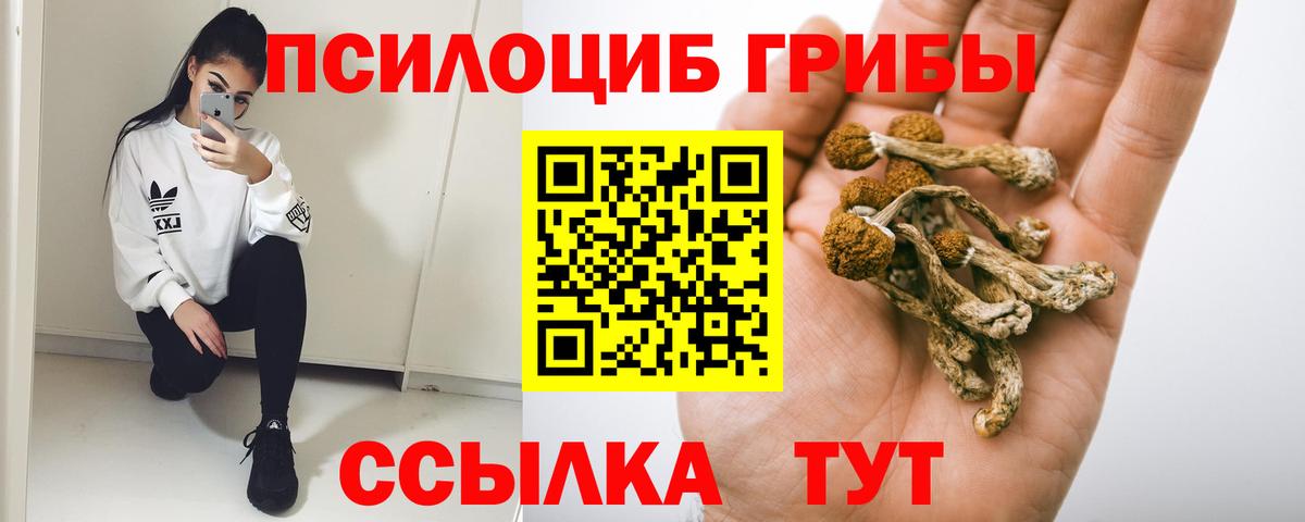 Псилоцибиновые грибы прущие грибы Ревда