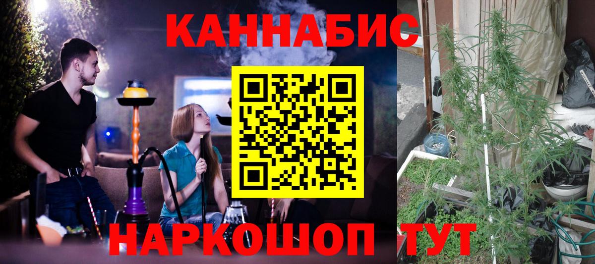 Бошки Шишки индика Ревда